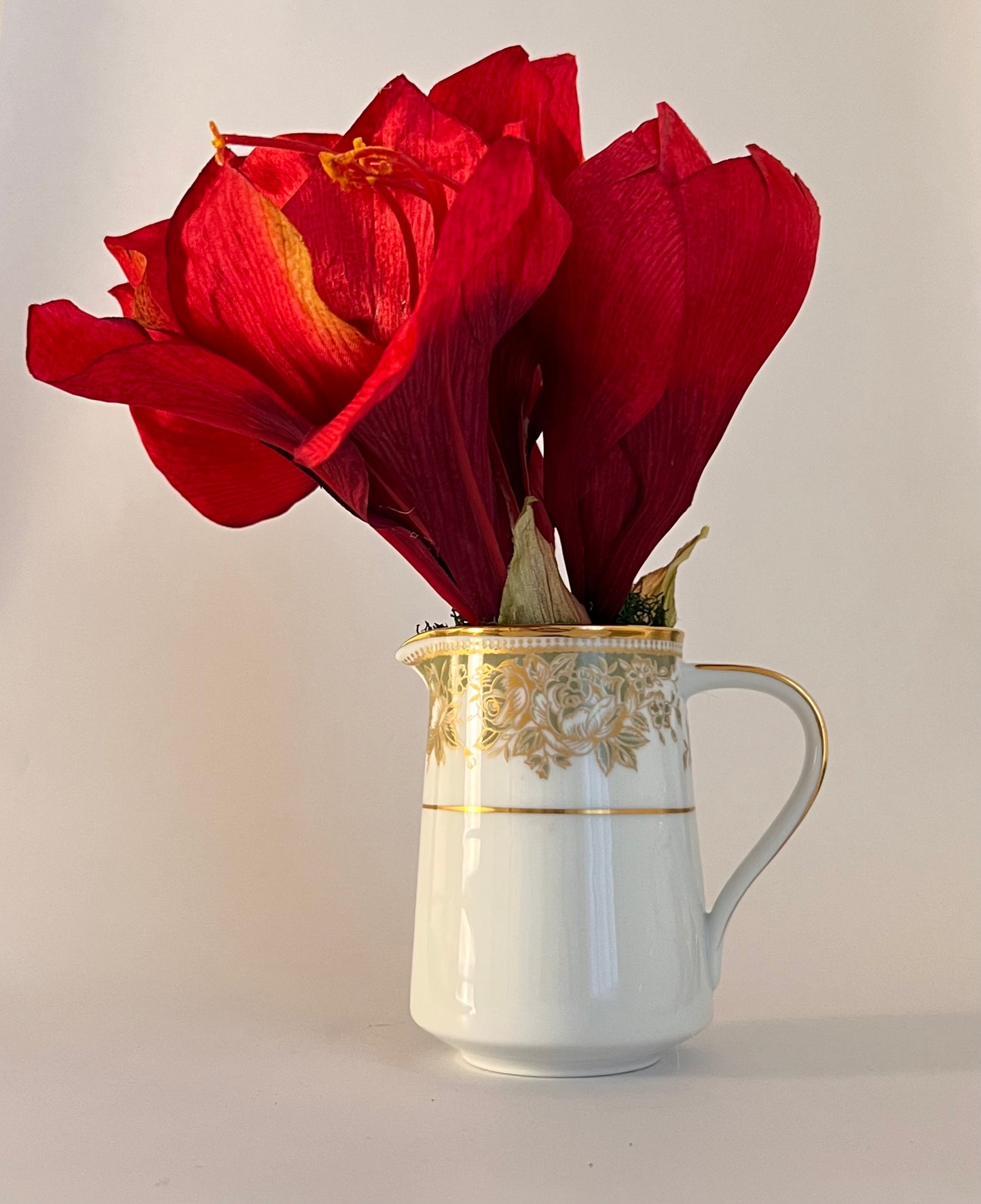 June St. George Forever Florals in Curated Coupe Vintage Vessels