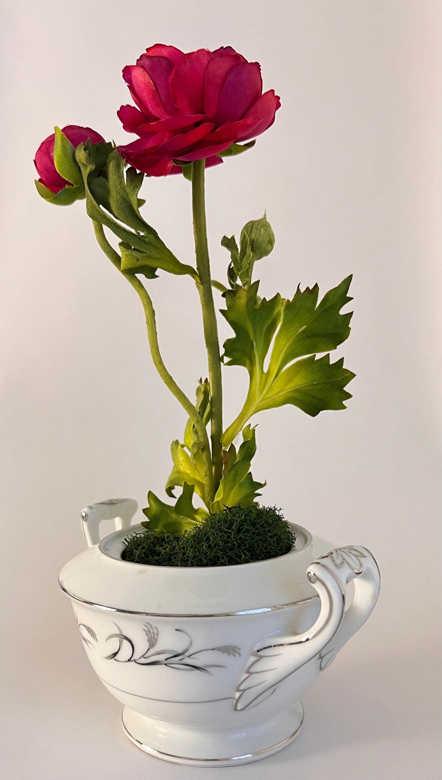 June St. George Forever Florals in Curated Coupe Vintage Vessels