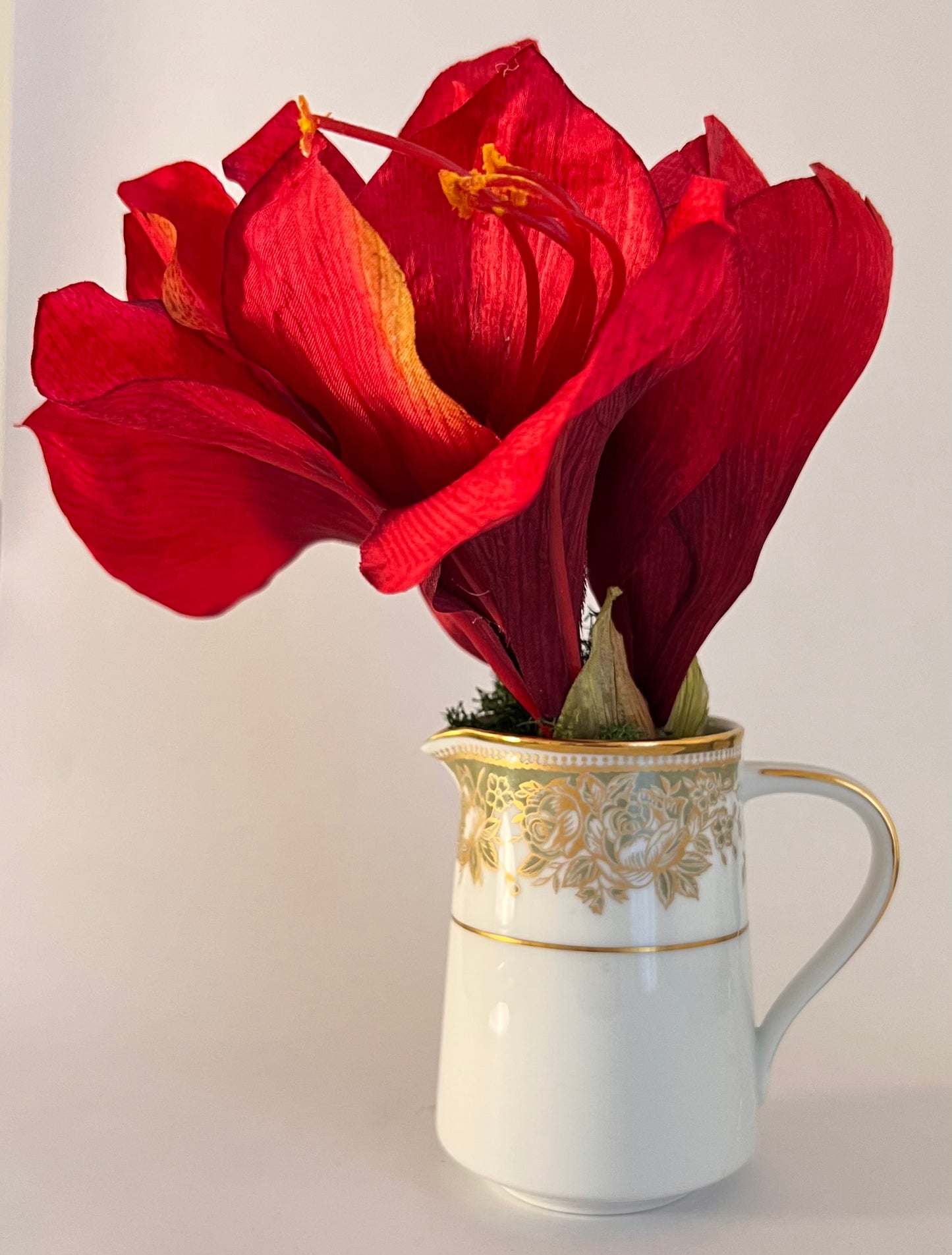 June St. George Forever Florals in Curated Coupe Vintage Vessels