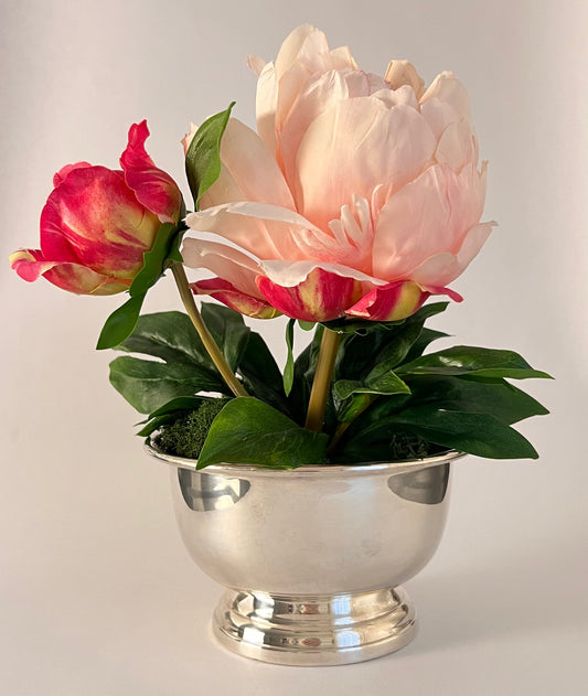 June St. George Forever Florals in Curated Coupe Vintage Vessels