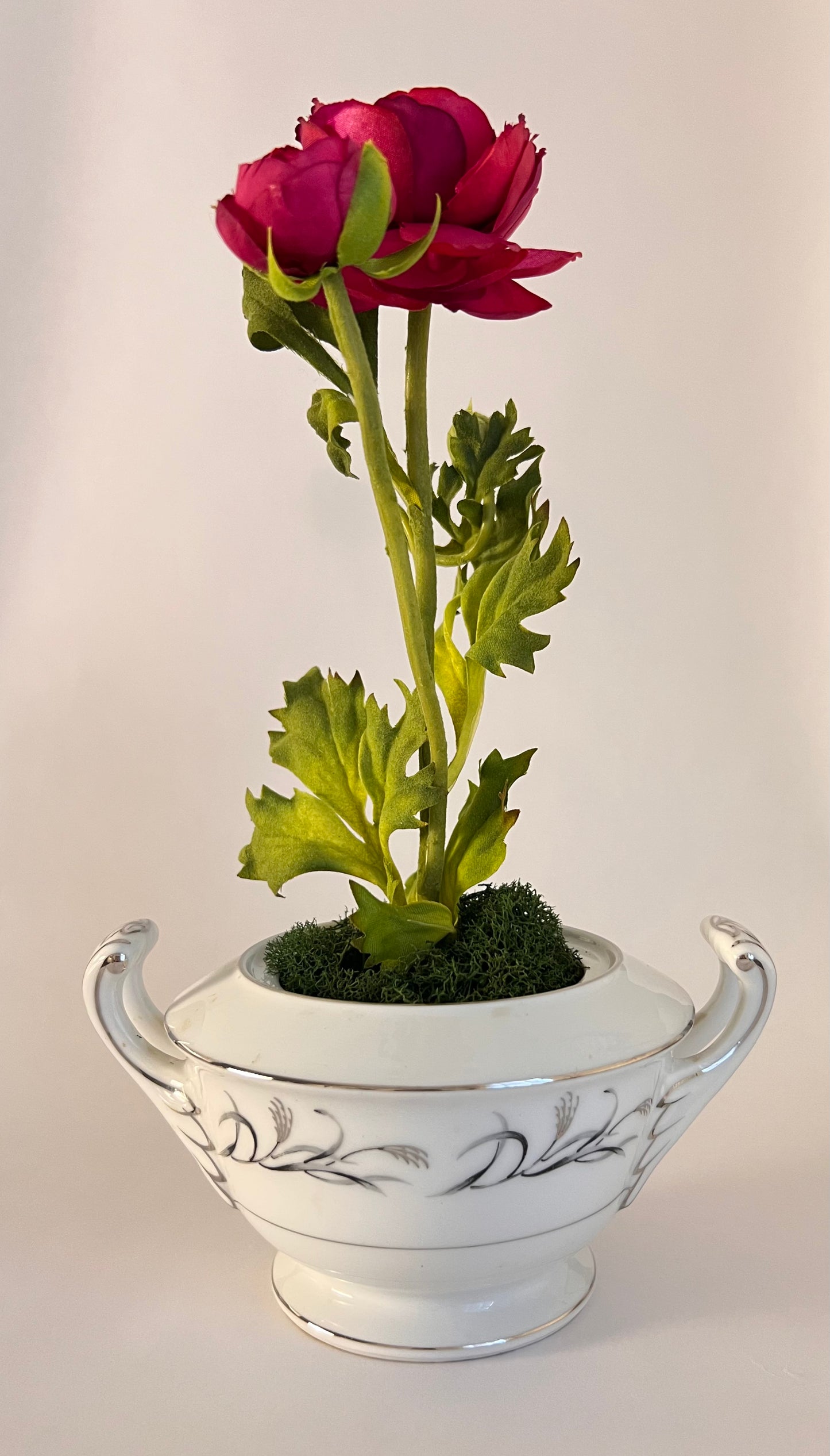 June St. George Forever Florals in Curated Coupe Vintage Vessels