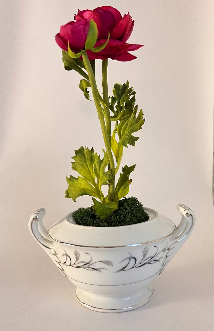 June St. George Forever Florals in Curated Coupe Vintage Vessels
