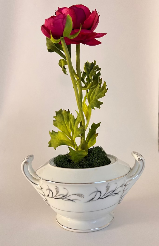 June St. George Forever Florals in Curated Coupe Vintage Vessels