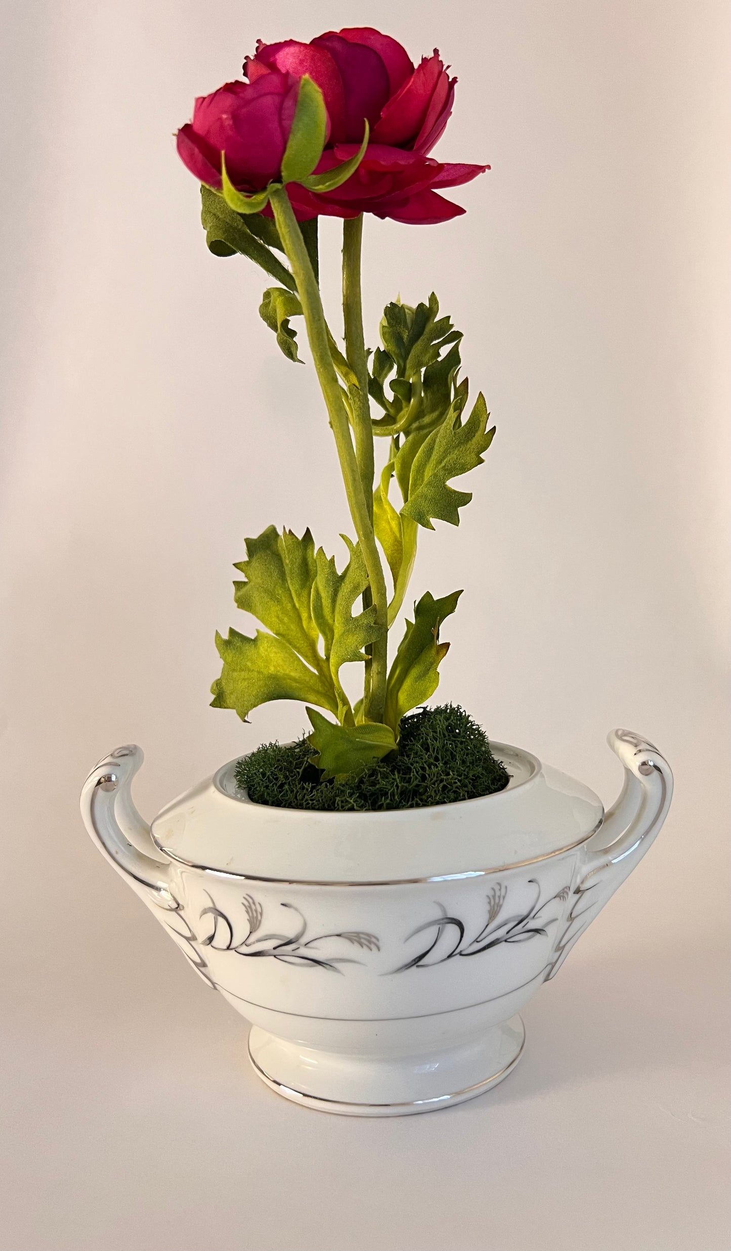 June St. George Forever Florals in Curated Coupe Vintage Vessels